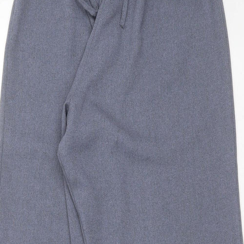 Preworn Womens Blue  Polyester Trousers  Size 12 L28 in Regular