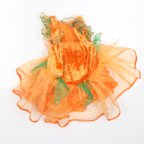Tesco Girls Orange   A-Line  Size 3-4 Years  Round Neck  - Halloween
