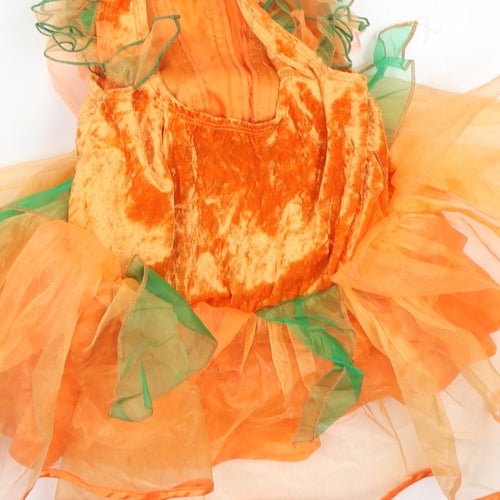 Tesco Girls Orange   A-Line  Size 3-4 Years  Round Neck  - Halloween