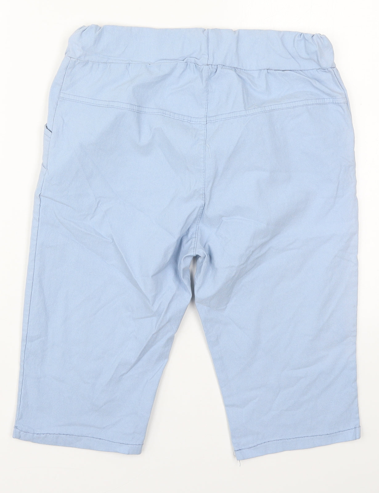 Preworn Womens Blue  Viscose Bermuda Shorts Size 28 in L12 in Regular