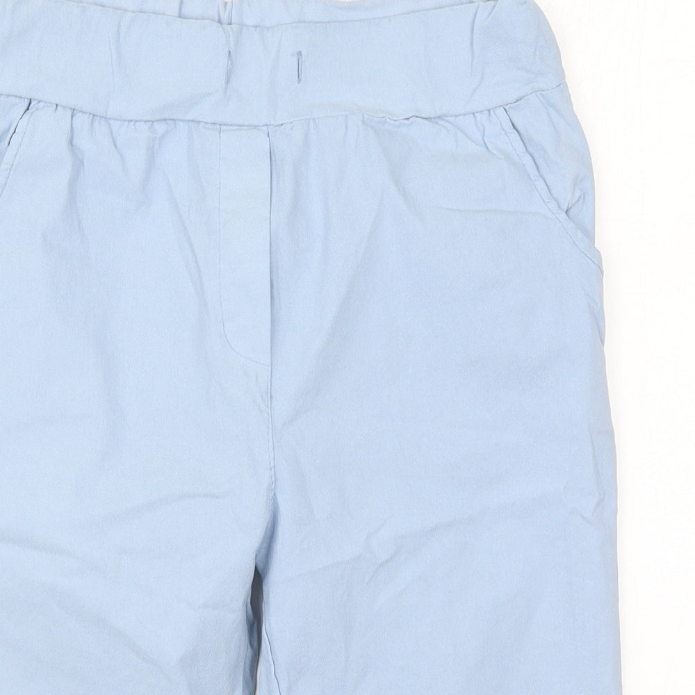 Preworn Womens Blue  Viscose Bermuda Shorts Size 28 in L12 in Regular