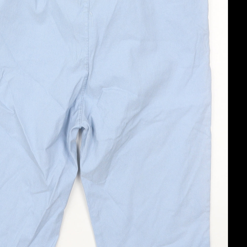Preworn Womens Blue  Viscose Bermuda Shorts Size 28 in L12 in Regular