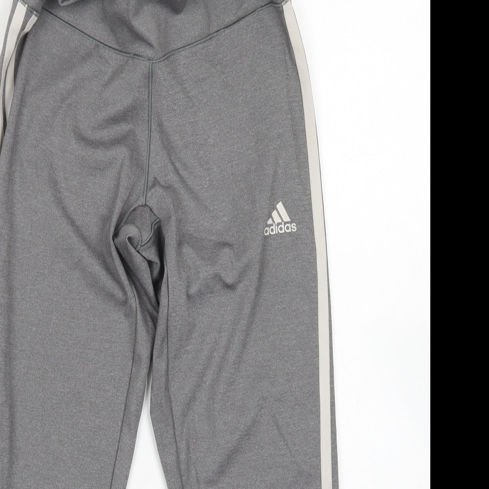 adidas Womens Grey  Polyester Compression Shorts Size S L19 in Regular Drawstring