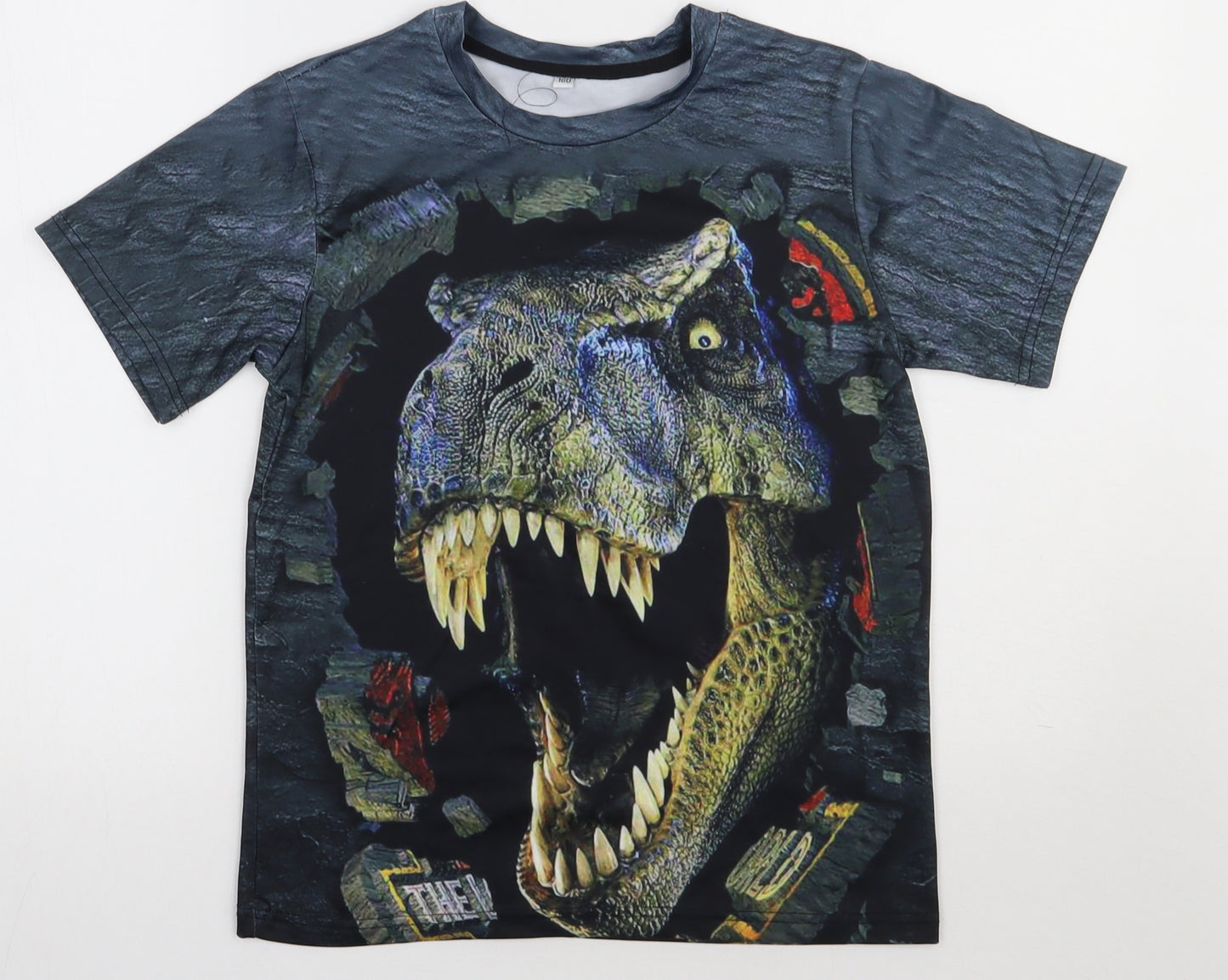 Preworn Boys Multicoloured  Polyester Basic T-Shirt Size 13 Years Crew Neck Pullover - DInosaur
