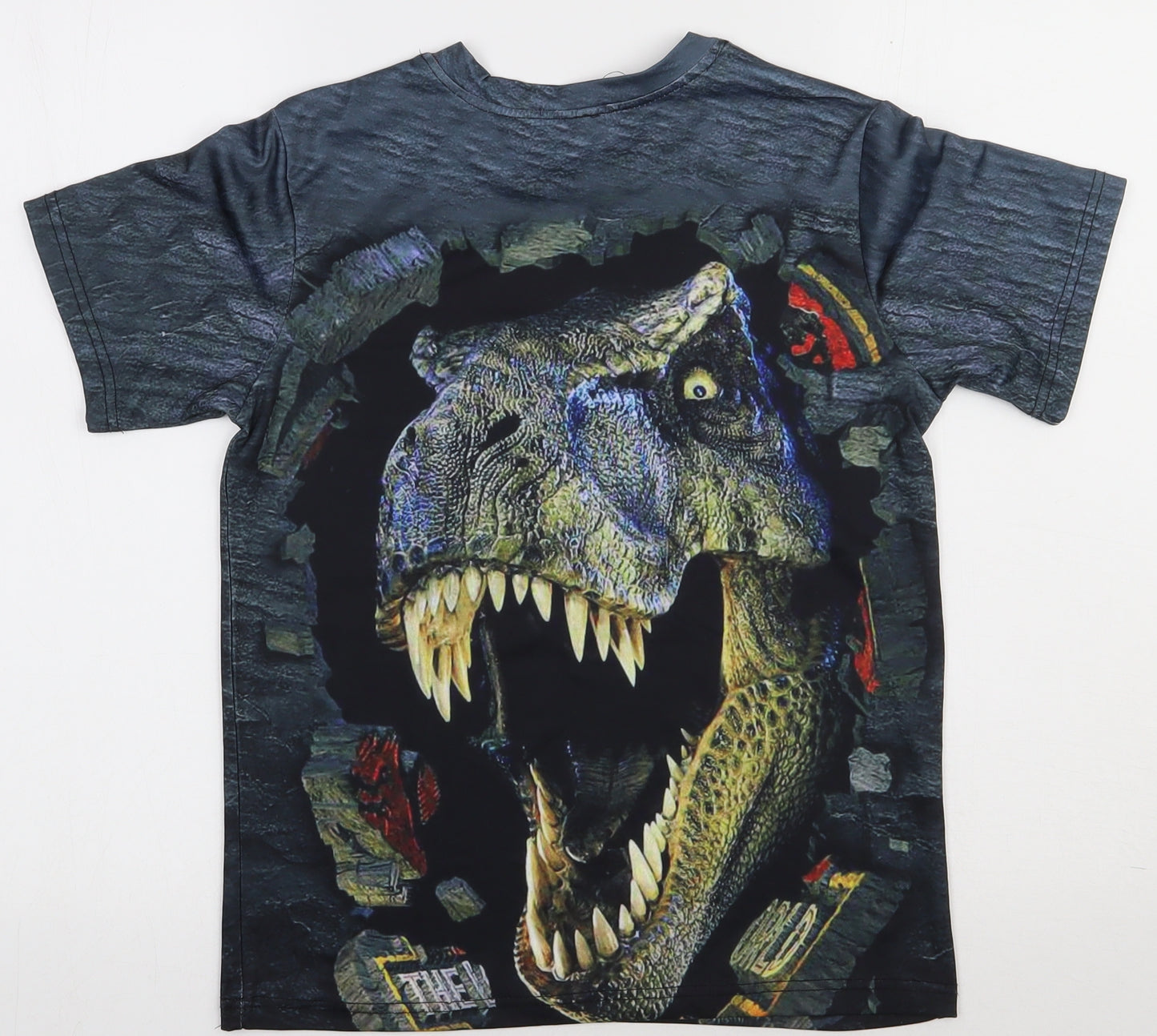 Preworn Boys Multicoloured  Polyester Basic T-Shirt Size 13 Years Crew Neck Pullover - DInosaur