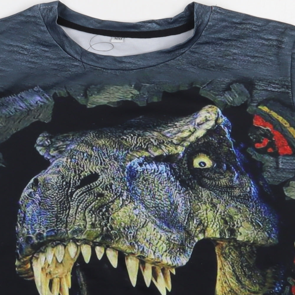 Preworn Boys Multicoloured  Polyester Basic T-Shirt Size 13 Years Crew Neck Pullover - DInosaur