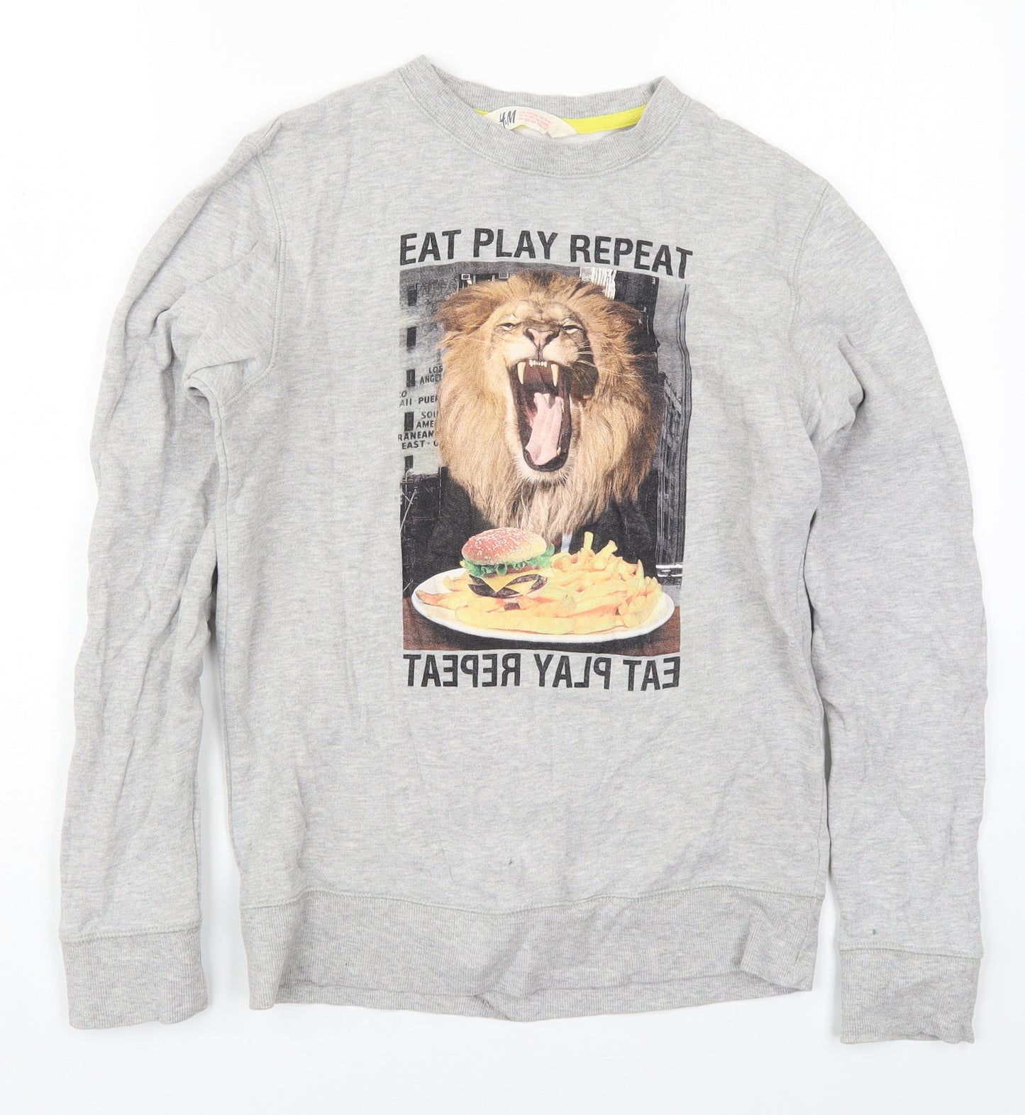 H&M Boys Grey  Cotton Pullover Sweatshirt Size 14-15 Years  Pullover - Eat Play Repeat Lion