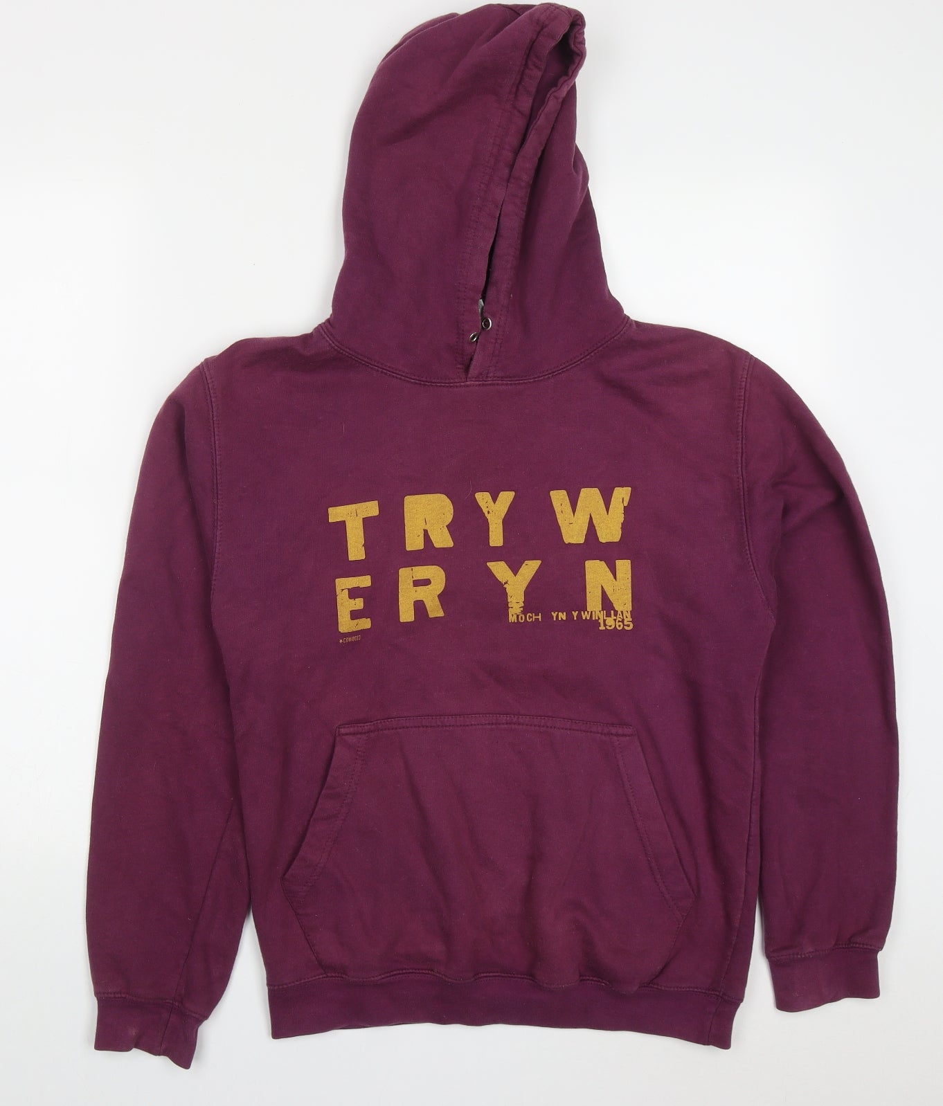 All We Do is Mens Purple  Cotton Pullover Hoodie Size S   - Tryweryn