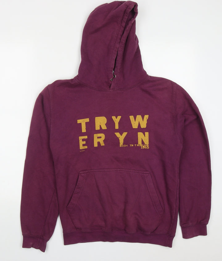 All We Do is Mens Purple Cotton Pullover Hoodie Size S - Tryweryn