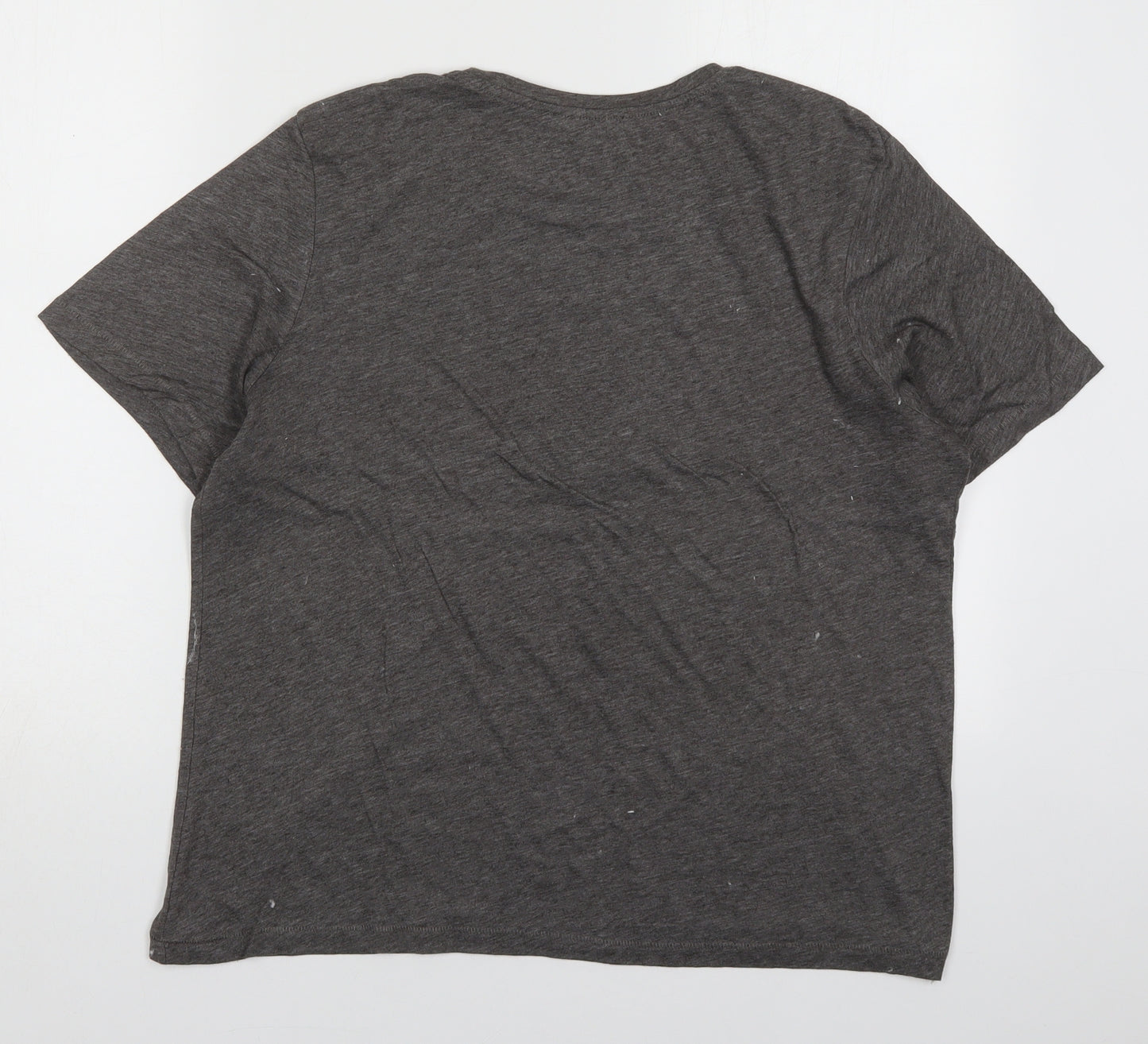 Zara Womens Grey  Polyester Basic T-Shirt Size L Crew Neck