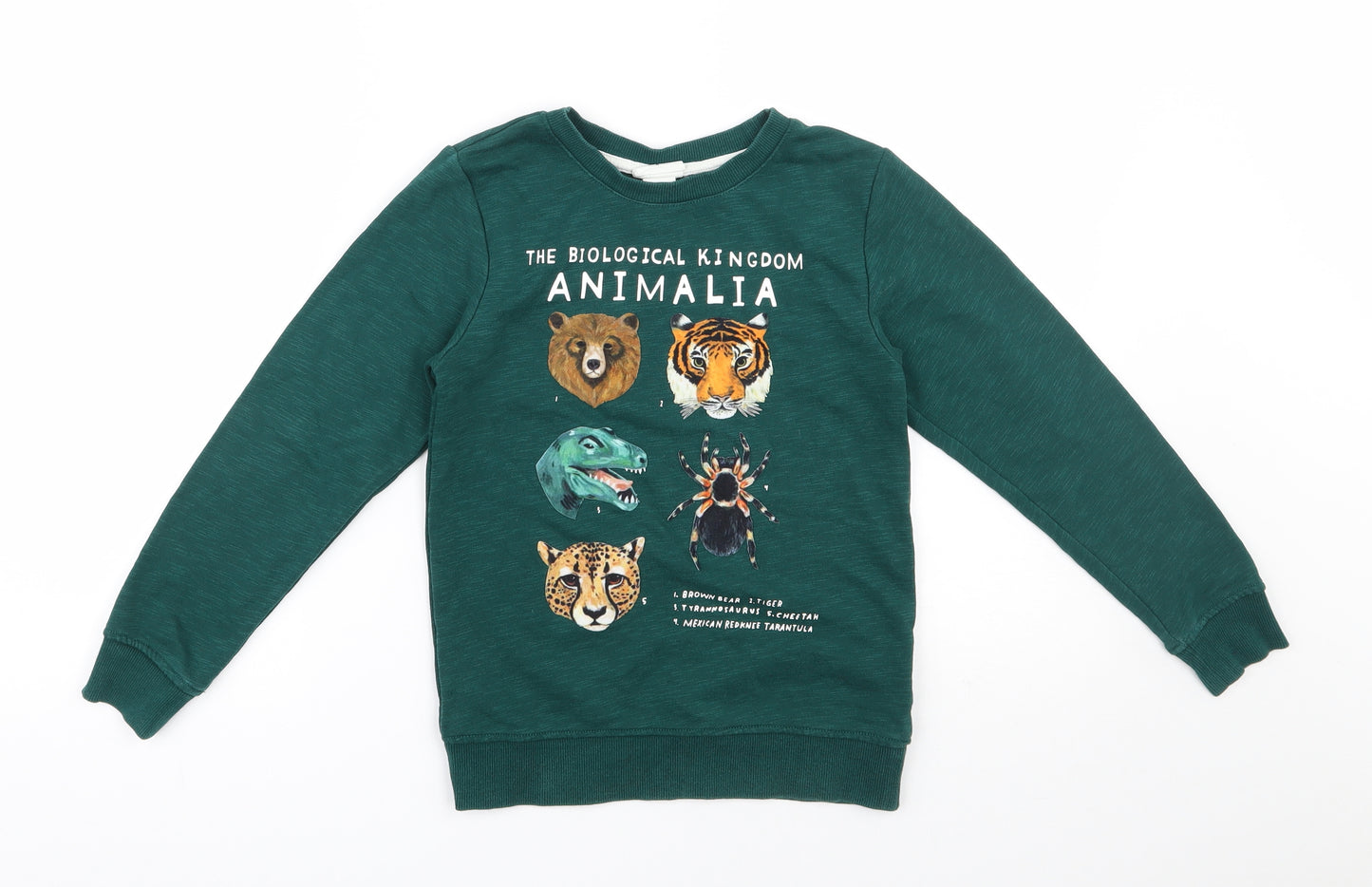 H&M Boys Green  Cotton Pullover Sweatshirt Size 7-8 Years  Pullover