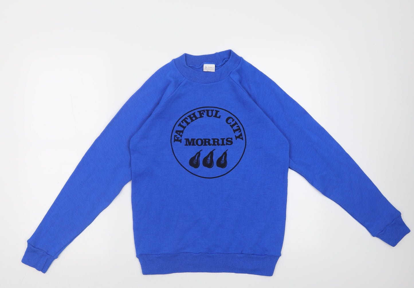 Preworn Mens Blue Crew Neck  Acrylic Pullover Jumper Size S   - faithful city