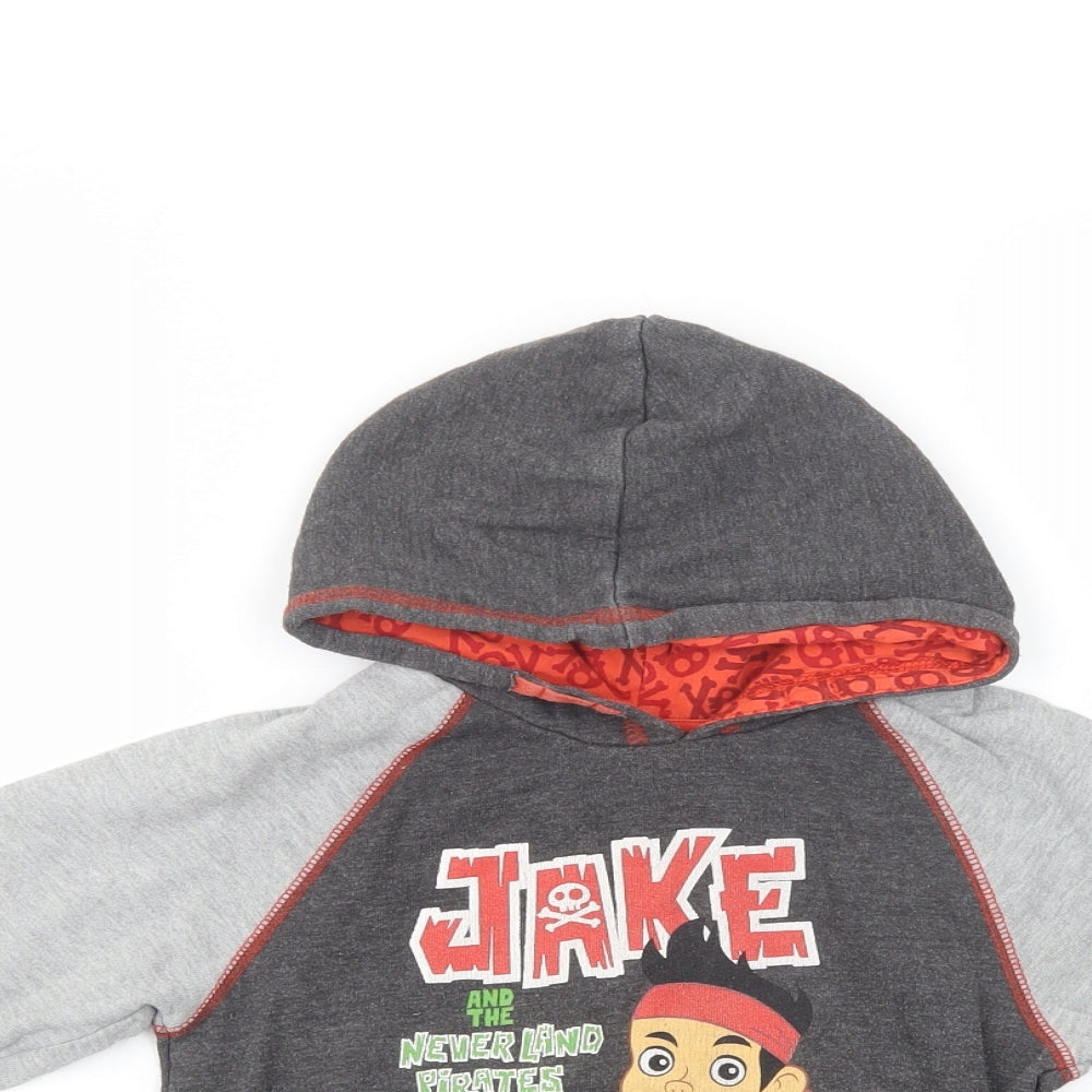 George Boys Grey  Cotton Pullover Hoodie Size 3-4 Years  Pullover - Jake Ant The Never Land Pirates