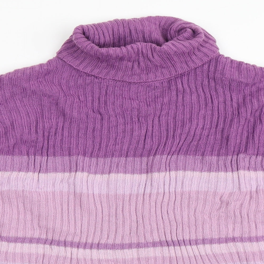 Bonmarché Womens Purple Roll Neck Striped Acrylic Pullover Jumper Size L