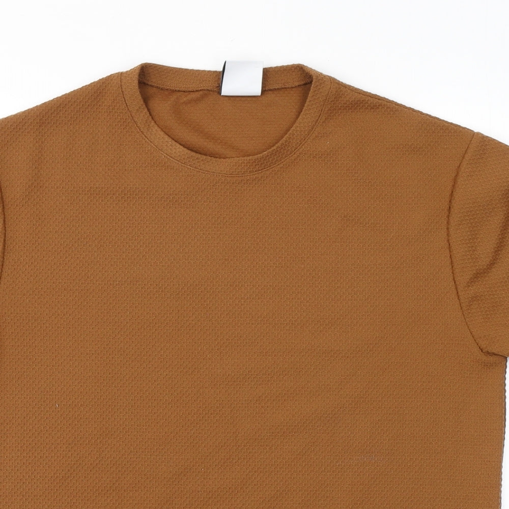 Zara Womens Brown  Polyester Basic T-Shirt Size S Round Neck