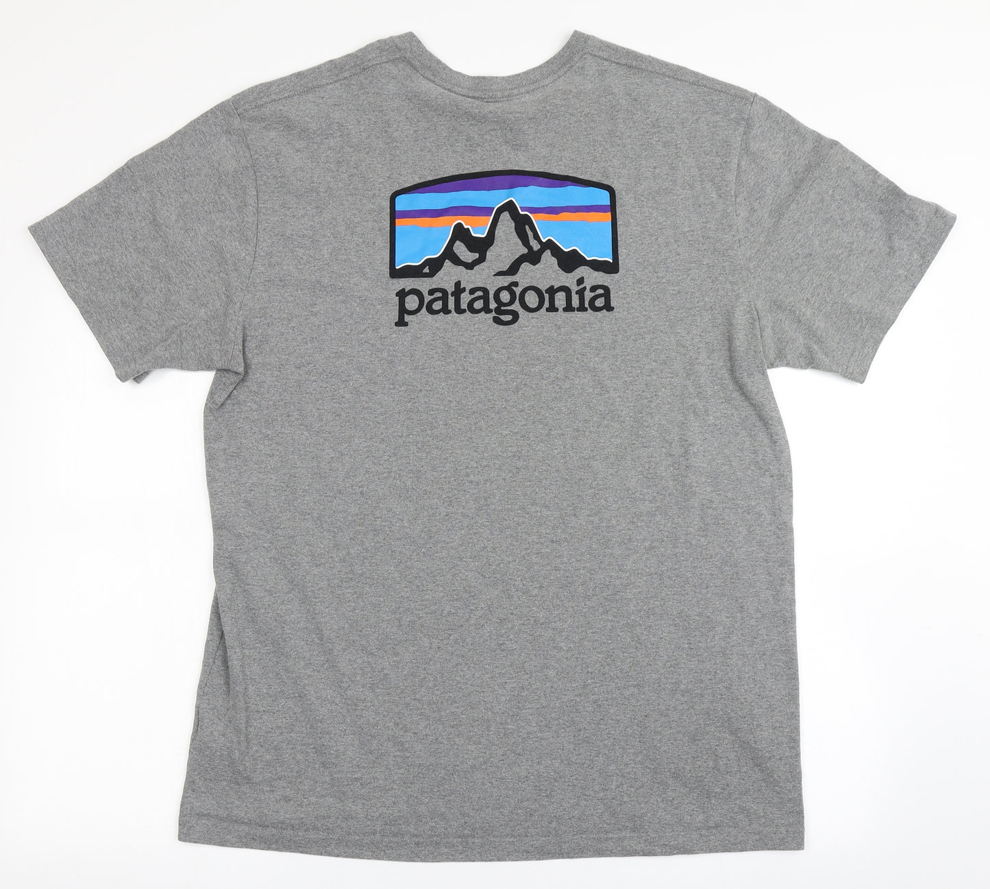 Patagonia Mens Grey  Polyester  T-Shirt Size L Round Neck