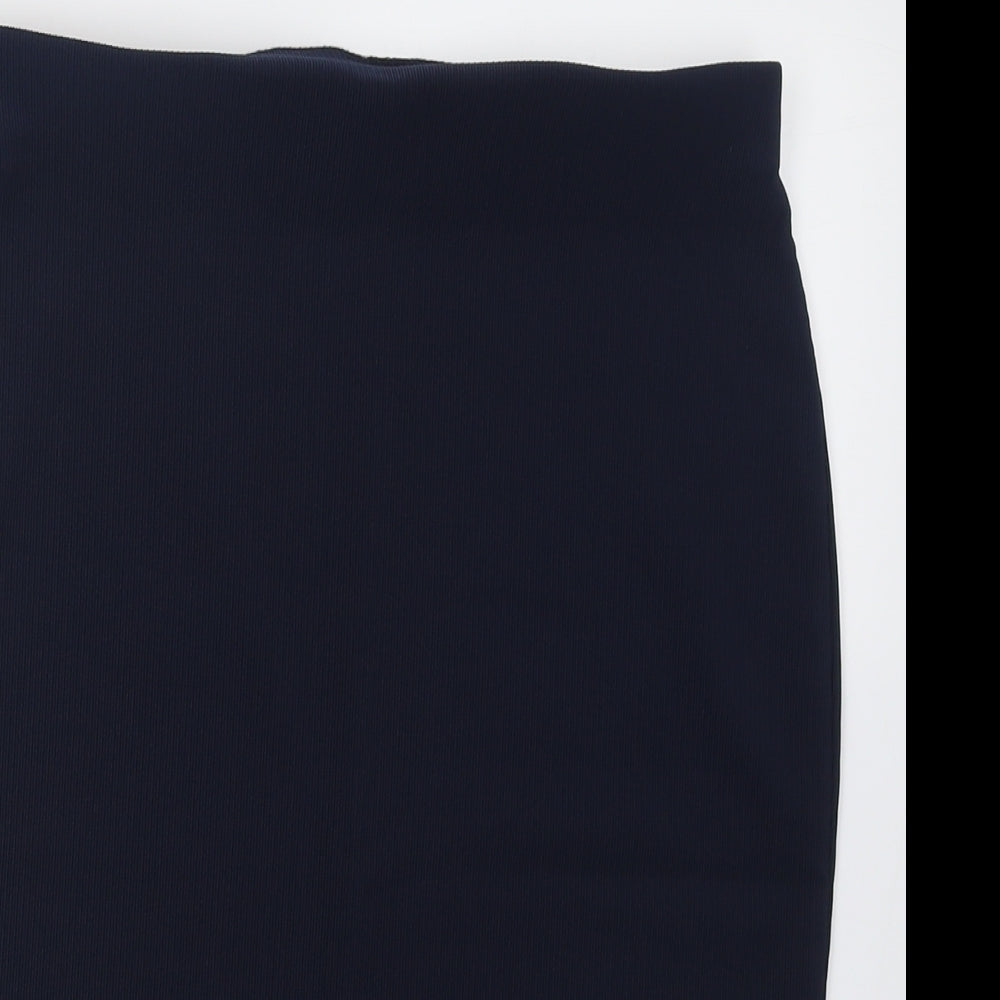 TEMT Womens Blue  Polyester A-Line Skirt Size XL