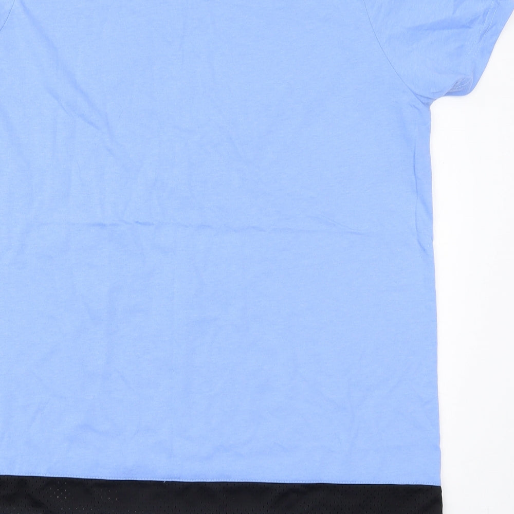 Capsule Womens Blue Striped Cotton Basic T-Shirt Size 16 Crew Neck