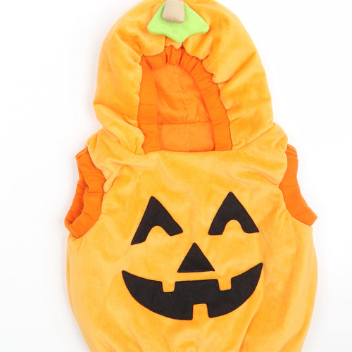 TJM Ltd Baby Orange  100% Polyester Pullover Jumper One Size   - 1-3 Years