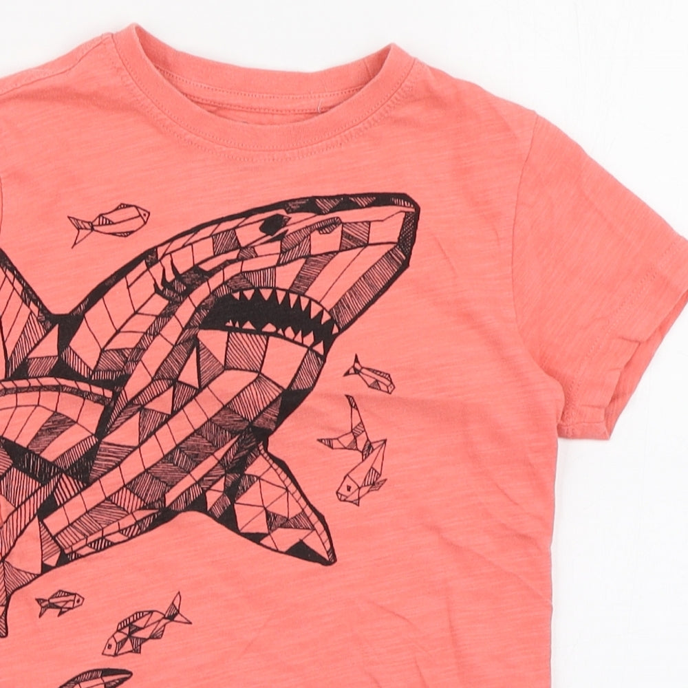 Blue Zoo Boys Pink  100% Cotton Basic T-Shirt Size 5-6 Years Round Neck Pullover - Shark