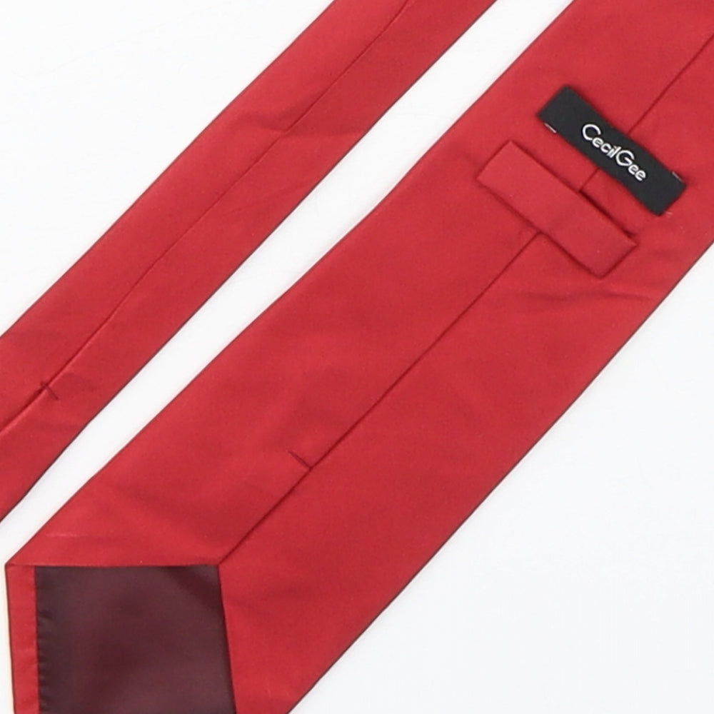 CecilGee Mens Red  Silk Pointed Tie One Size