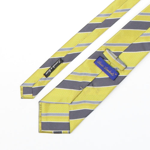 Lucio Lambeli Mens Multicoloured Striped Polyester Pointed Tie One Size