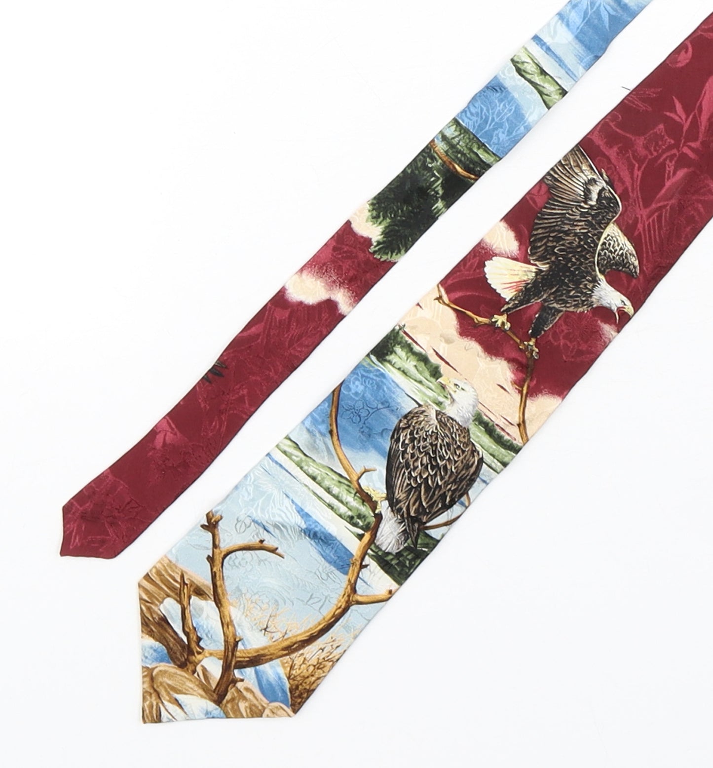 Endangered  Species  Mens Multicoloured Geometric Silk Pointed Tie One Size - Eagles at the dell