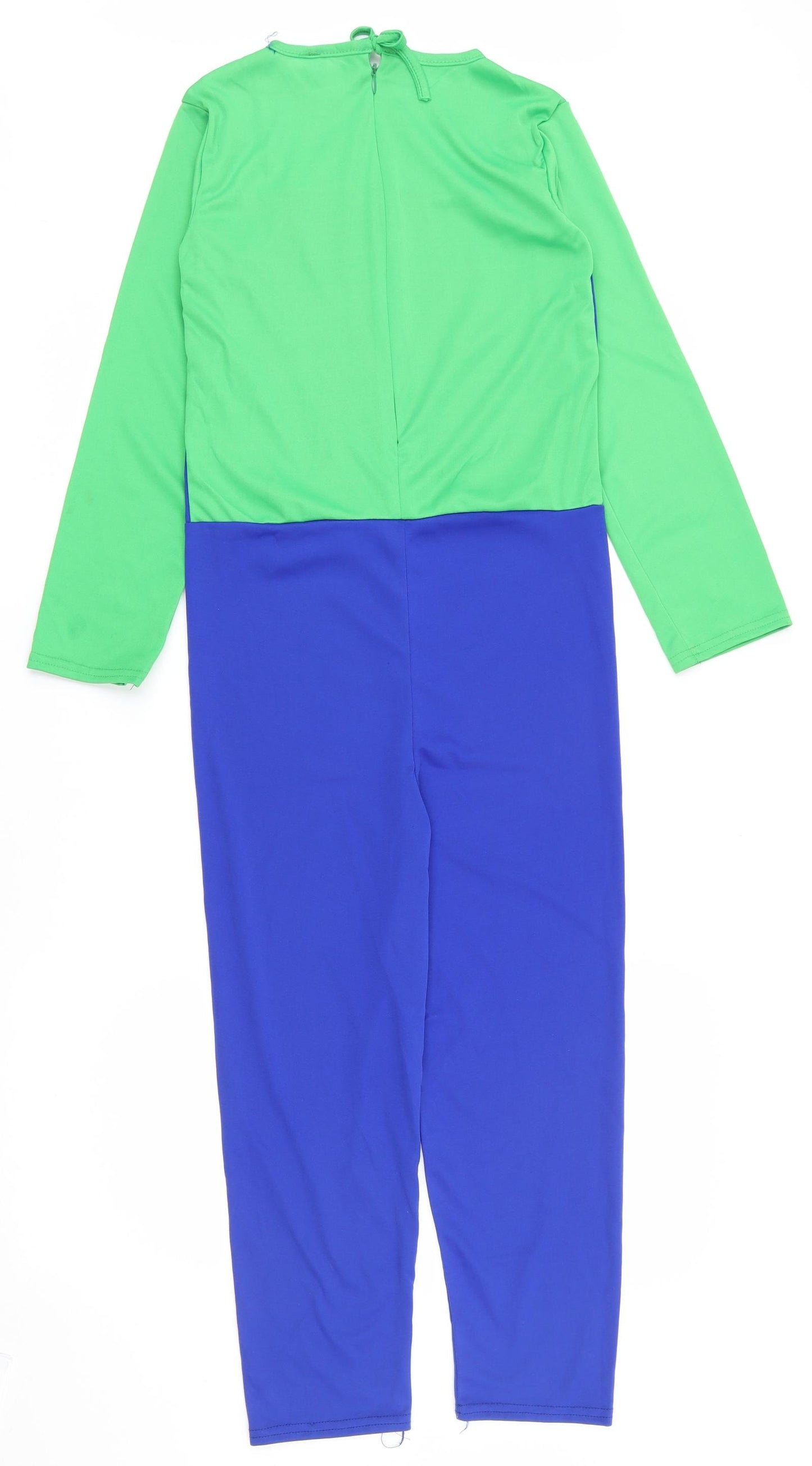 Preworn Boys Multicoloured  100% Polyester  One Piece Size L  Zip - Luigi Costume
