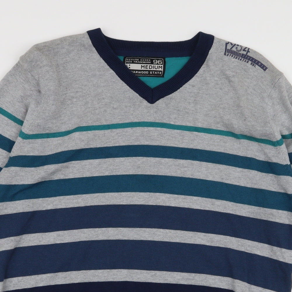 Cedar Wood State Mens Multicoloured V-Neck Striped Cotton Pullover Jumper Size M