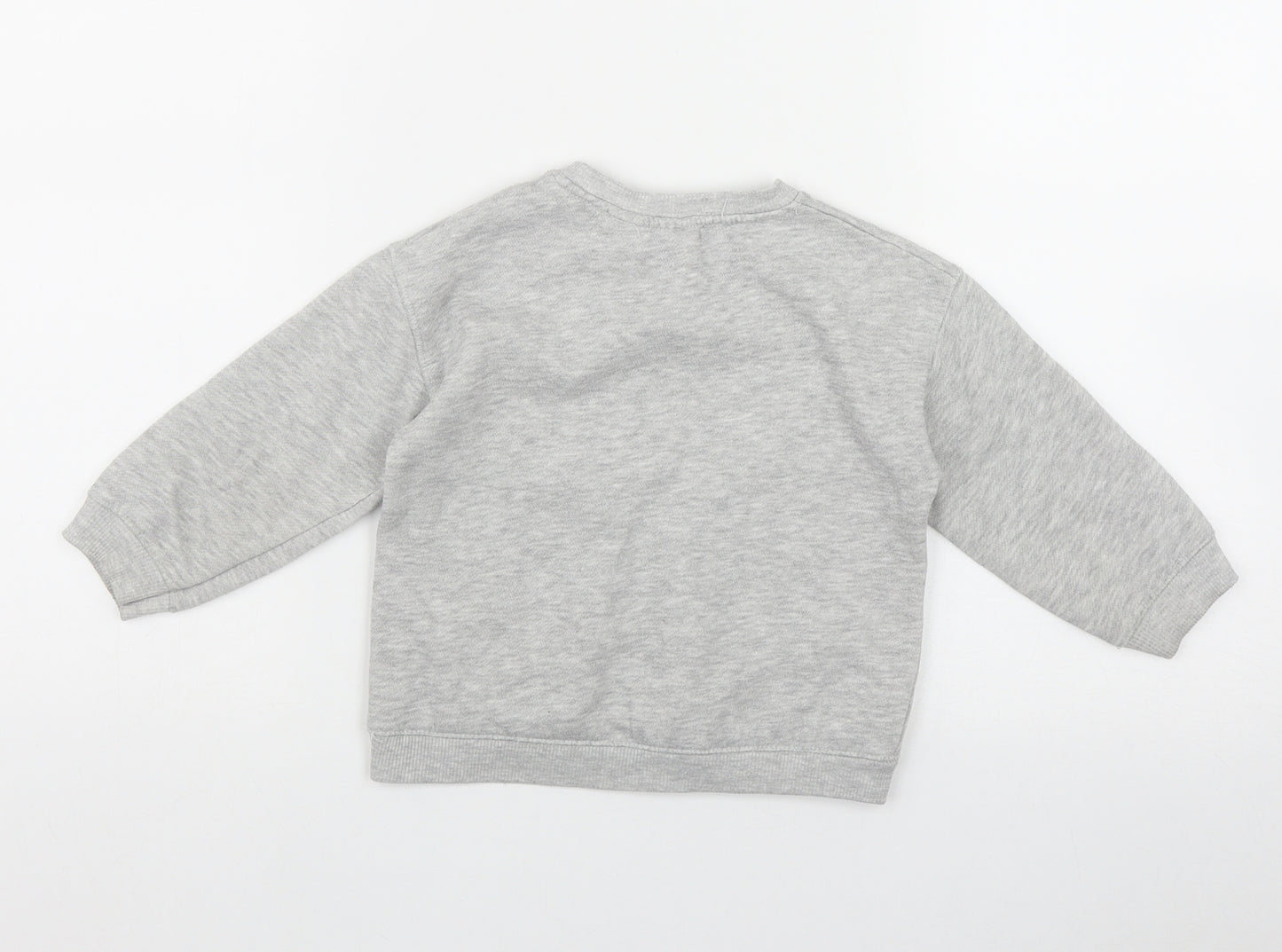 Zara Boys Grey  Polyester Pullover Sweatshirt Size 2-3 Years   - 'Some days are cool'