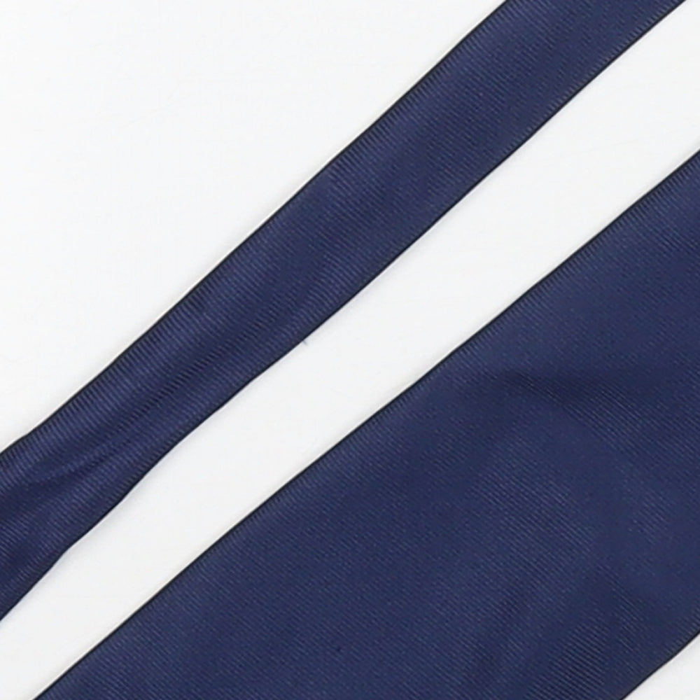 NEXT Mens Blue  Silk Pointed Tie One Size