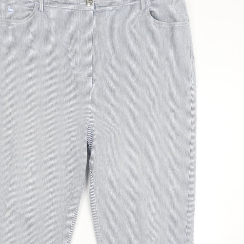 EWM Womens Blue Striped Cotton Straight Jeans Size 20 L24 in Slim Zip