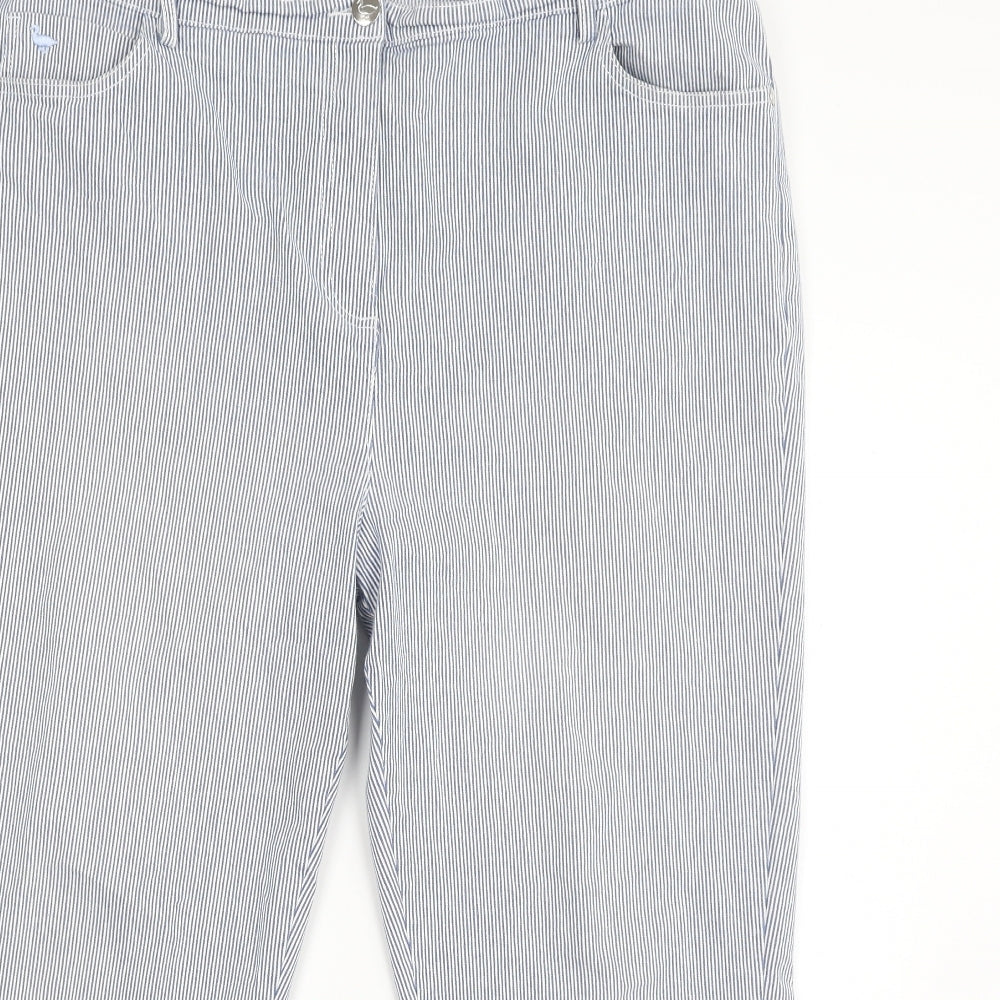 EWM Womens Blue Striped Cotton Straight Jeans Size 20 L24 in Slim Zip
