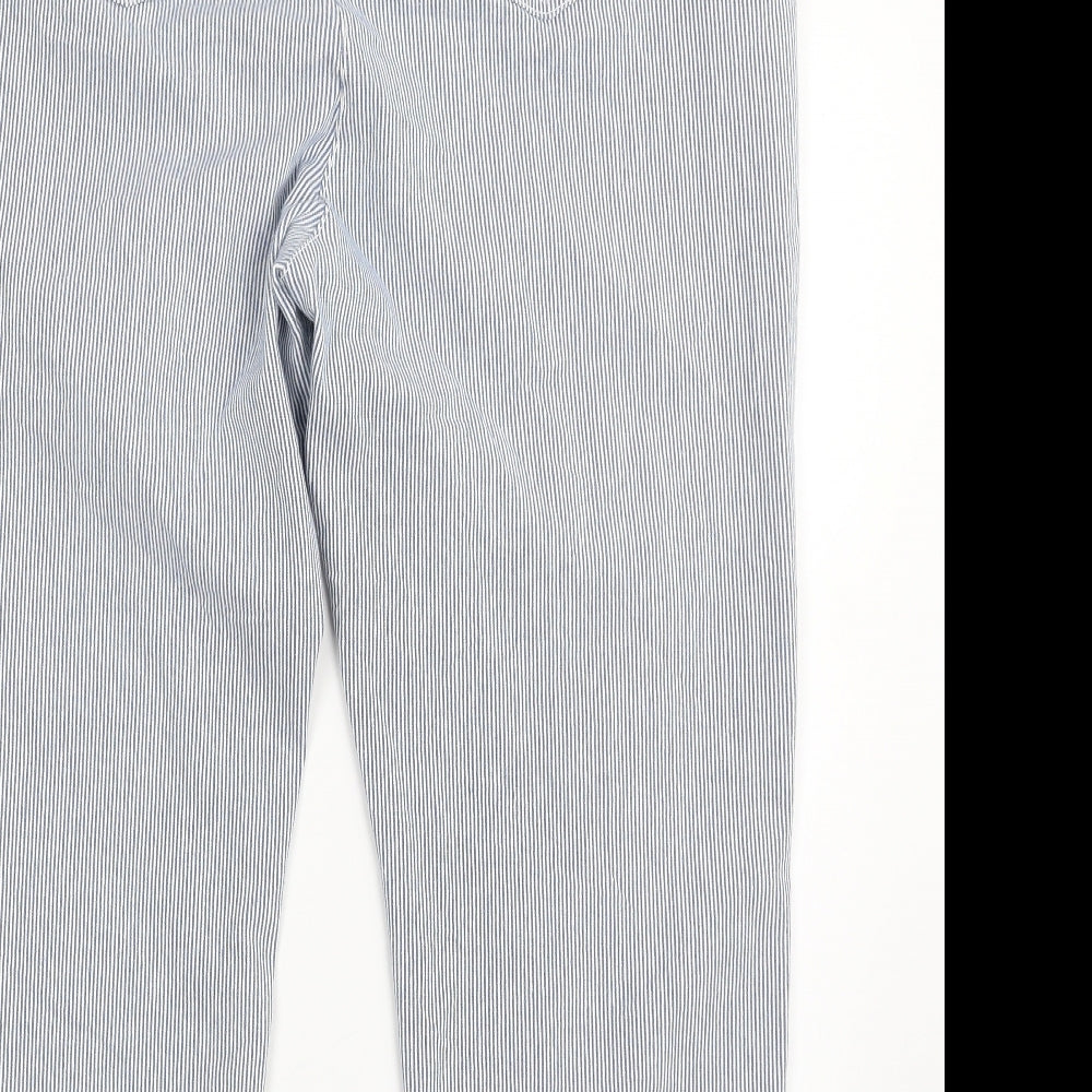 EWM Womens Blue Striped Cotton Straight Jeans Size 20 L24 in Slim Zip