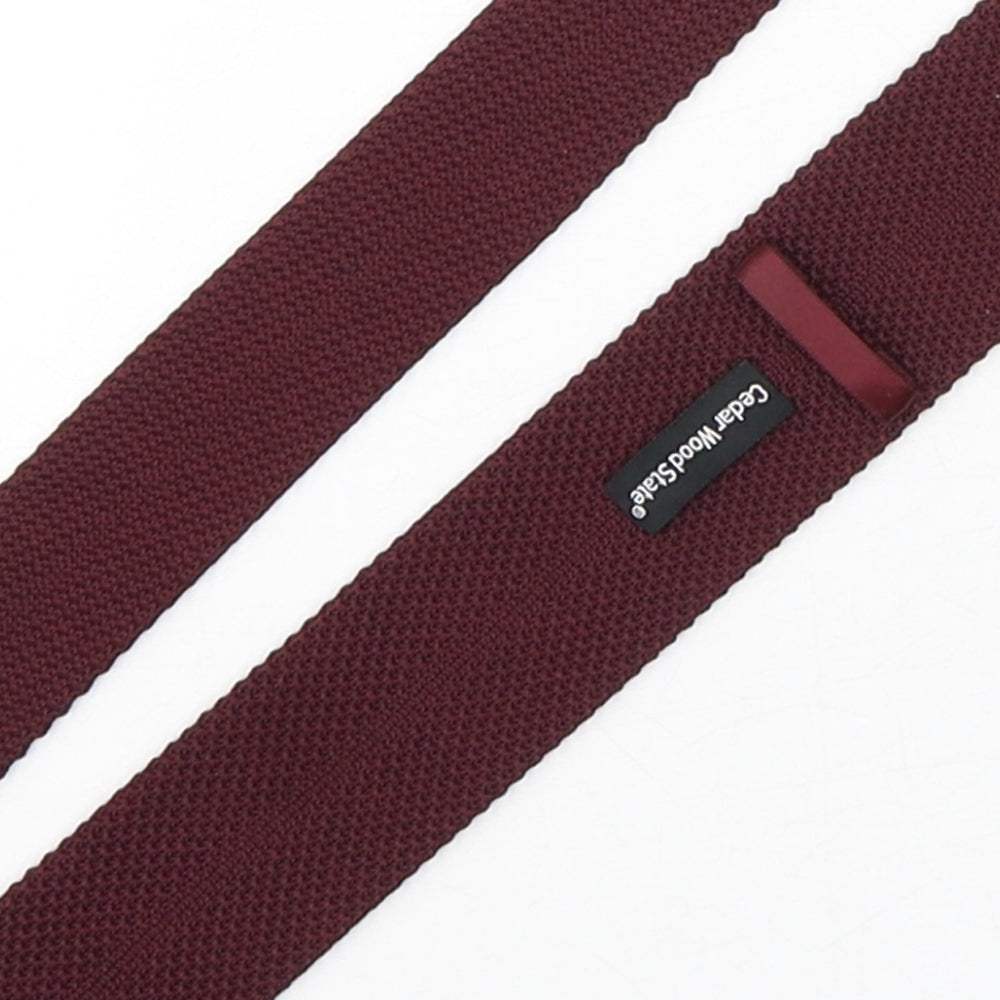 Cedar Wood State Mens Purple  Polyester Pointed Tie One Size