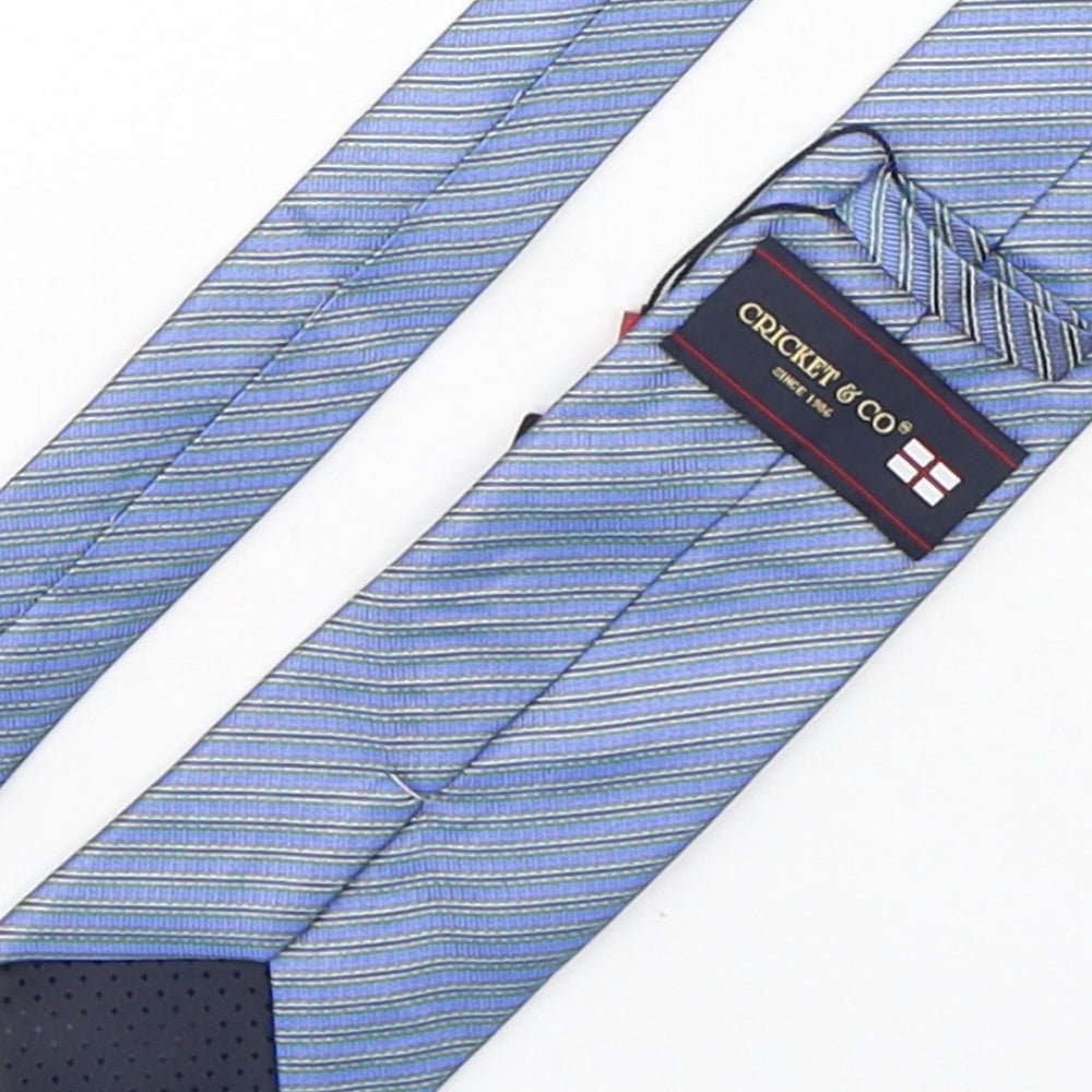 Cricket & Co Mens Multicoloured Striped Silk Pointed Tie One Size