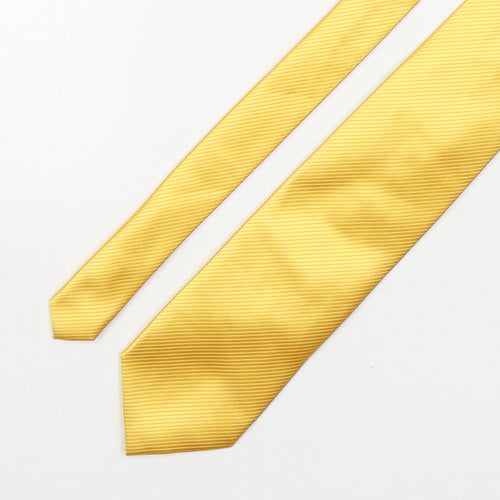 Peter English  Mens Gold Striped Polyester Pointed Tie One Size