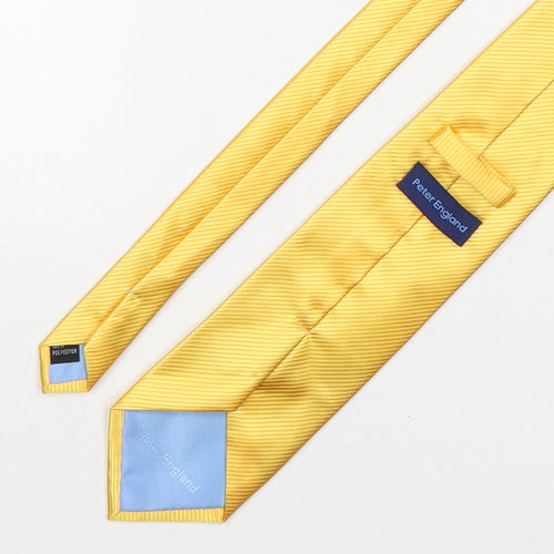 Peter English  Mens Gold Striped Polyester Pointed Tie One Size