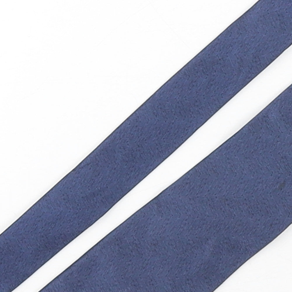 Alexandre Mens Blue  Silk Pointed Tie One Size