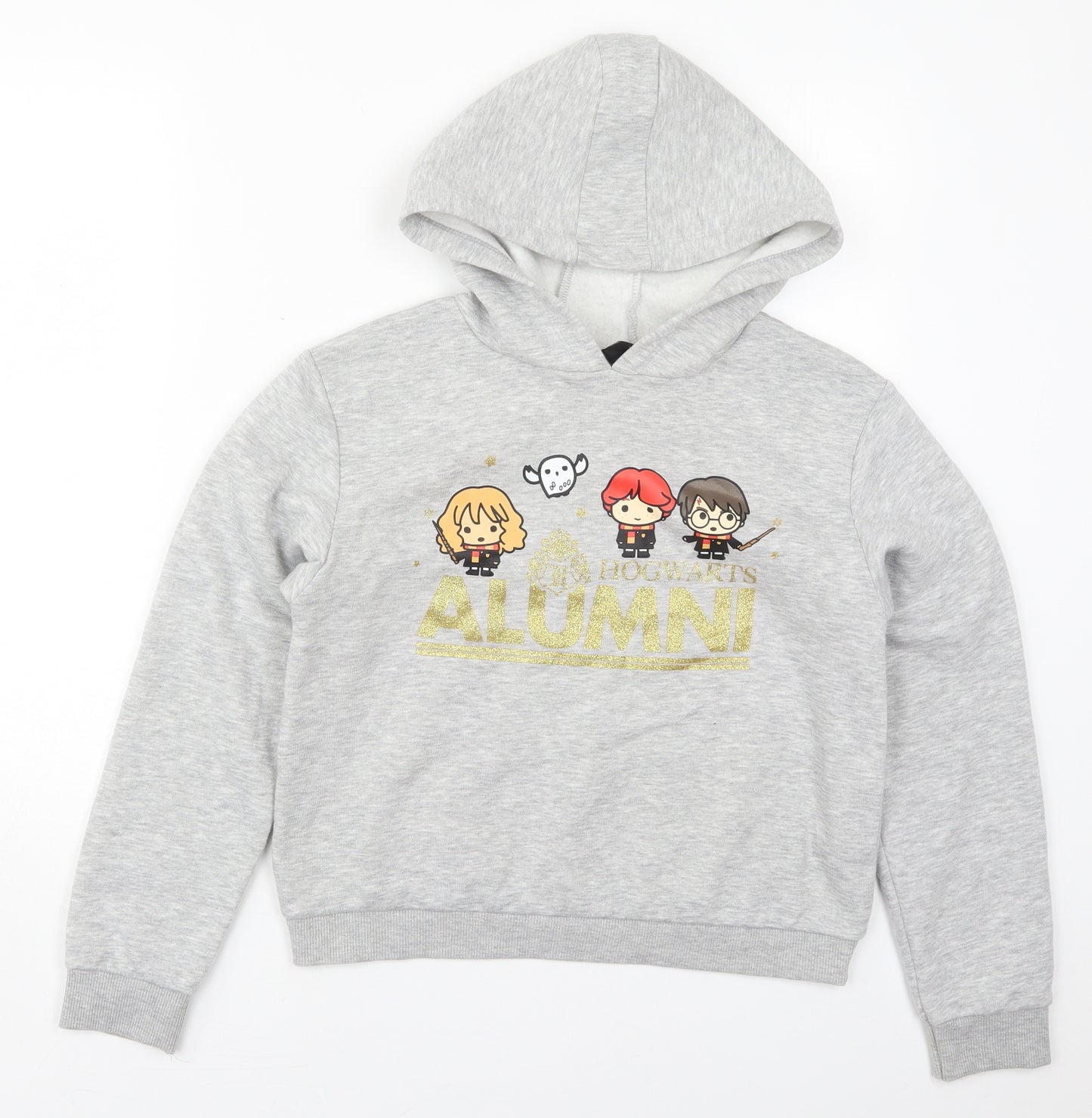 Primark Girls Grey  Cotton Pullover Hoodie Size 12-13 Years  Pullover - Harry Potter Alumni