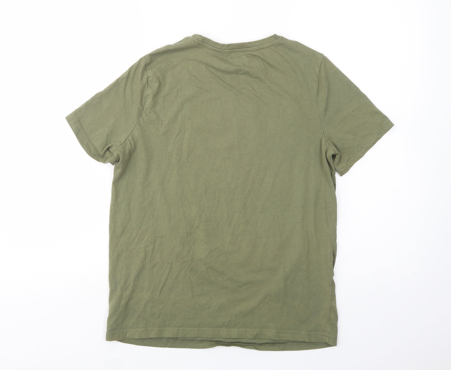 F&F Boys Green  Cotton Basic T-Shirt Size 13-14 Years Crew Neck Pullover - Dinosaur