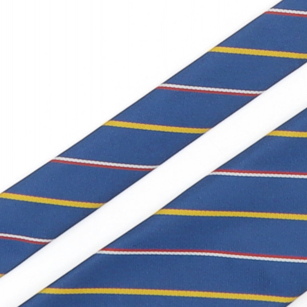 National Service Mens Multicoloured Striped Polyester Pointed Tie One Size