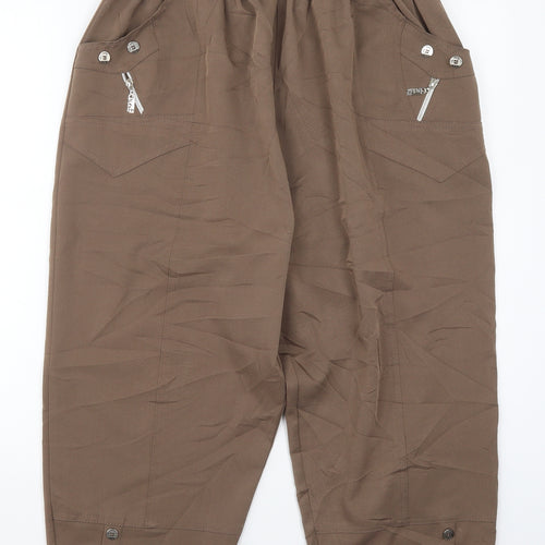 Preworn Womens Brown  Polyester Trousers  Size 30 in  Regular