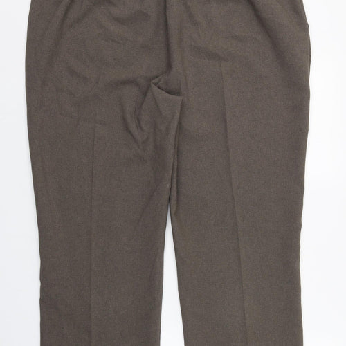 Bonmarché Womens Brown  Polyester Dress Pants Trousers Size 20 L26 in Regular Zip