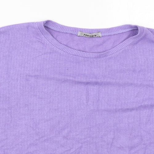 Alexara Womens Purple Round Neck  Viscose Pullover Jumper Size L