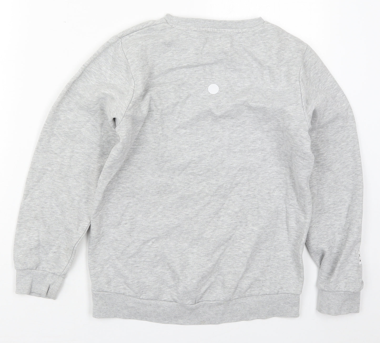 Nutmeg Boys Grey  Polyester Pullover Sweatshirt Size 10-11 Years  Pullover - T-Rex