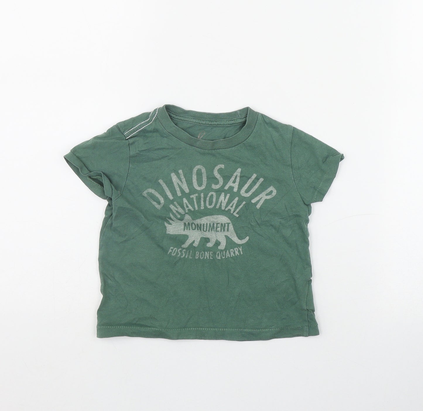 Little Peanut Boys Green  Cotton Basic T-Shirt Size 6-9 Months Round Neck Pullover - Dinosaur
