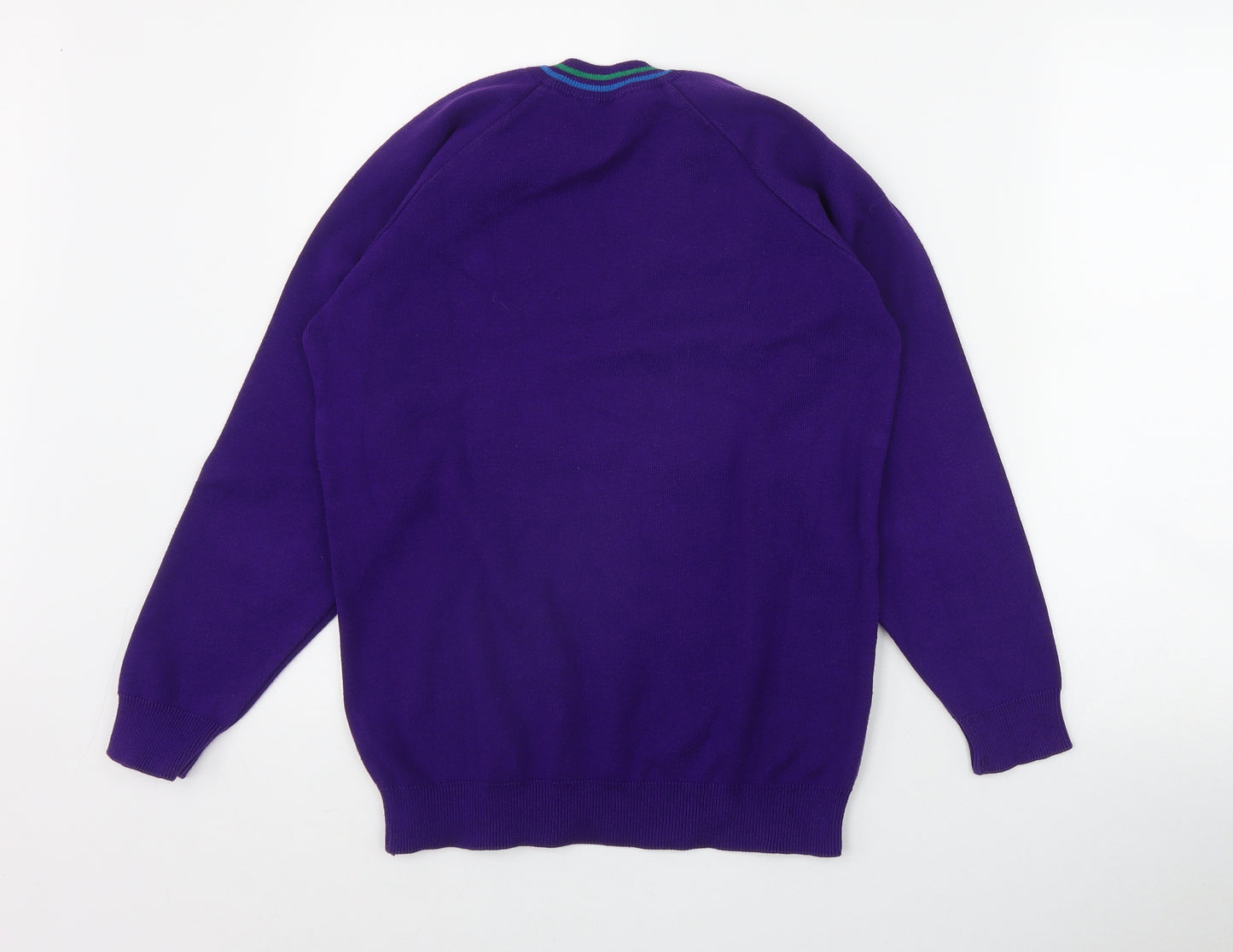 Magicfit Mens Purple V-Neck  Acrylic Pullover Jumper Size S