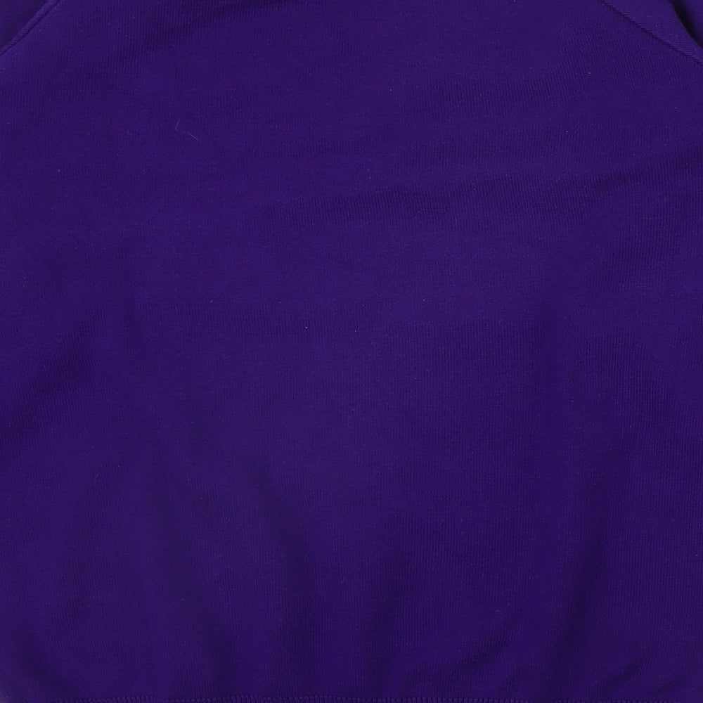 Magicfit Mens Purple V-Neck  Acrylic Pullover Jumper Size S