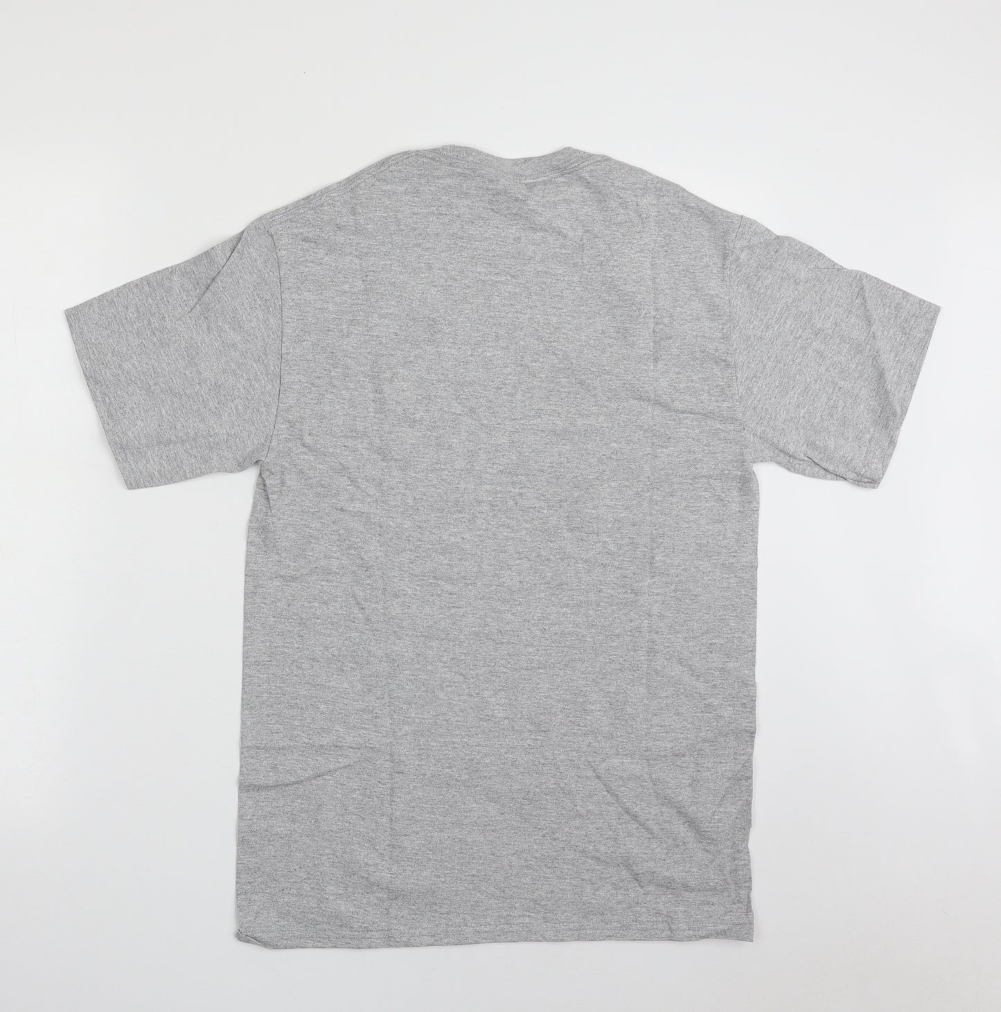 Gildan Mens Grey  Cotton  T-Shirt Size S Crew Neck  - AI Summit
